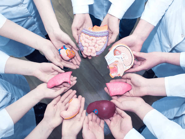 Organ Transplant